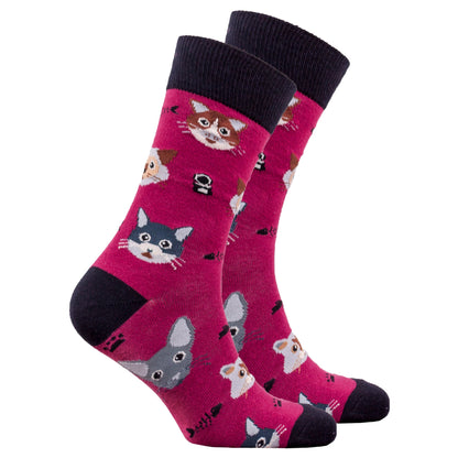 Men's Cute Cats Socks