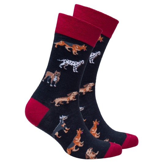 Men's Multi Dogs Socks