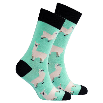 Men's Llama Socks