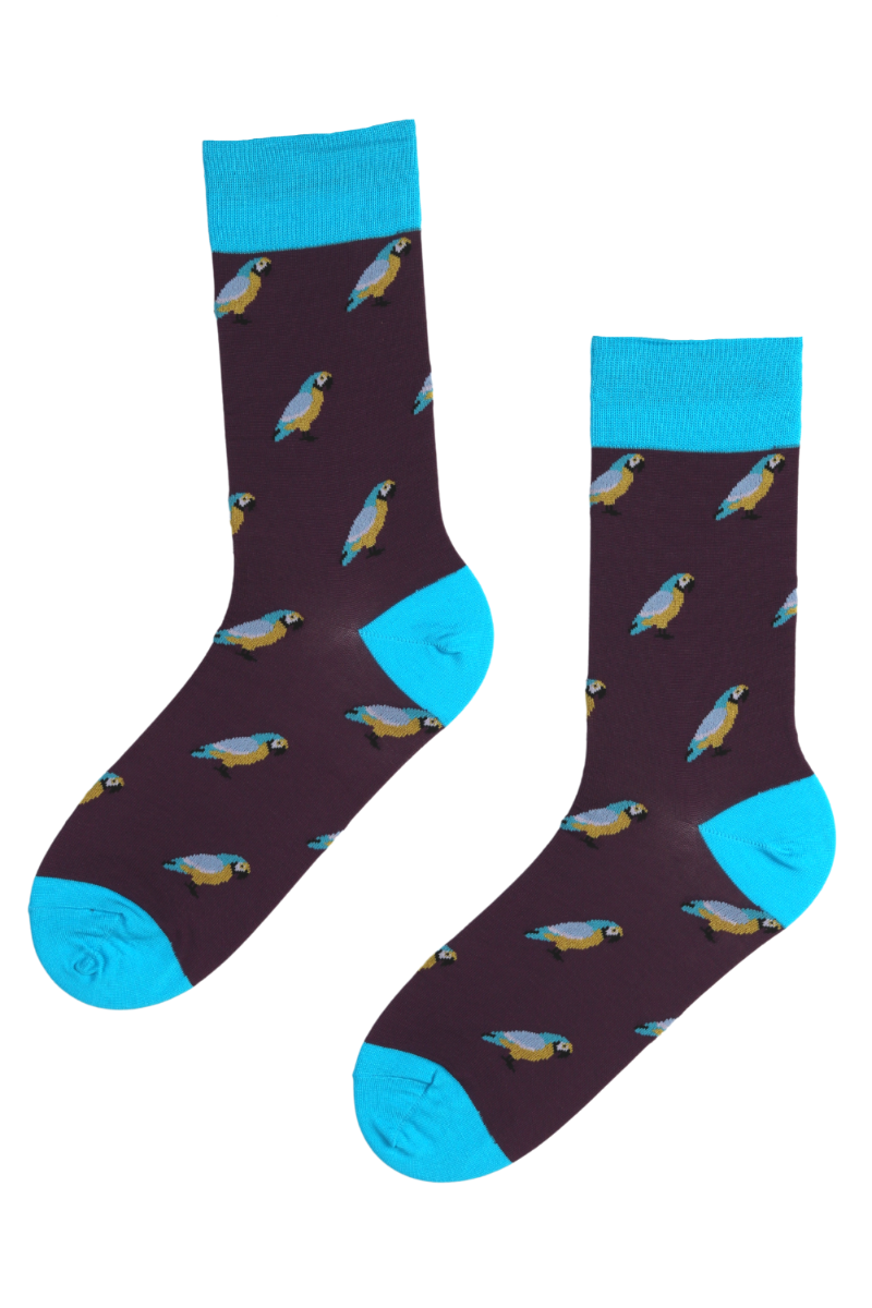 SUNDAY stylish suit socks with parrots